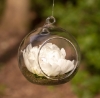 Picture of Hanging Votive Holder Clear Glass Orb  Set on 6  |4"Diameter|  Item No.20016